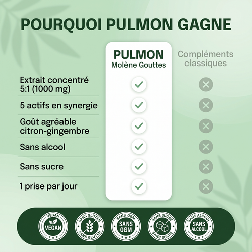 Pulmon Molène Gouttes
